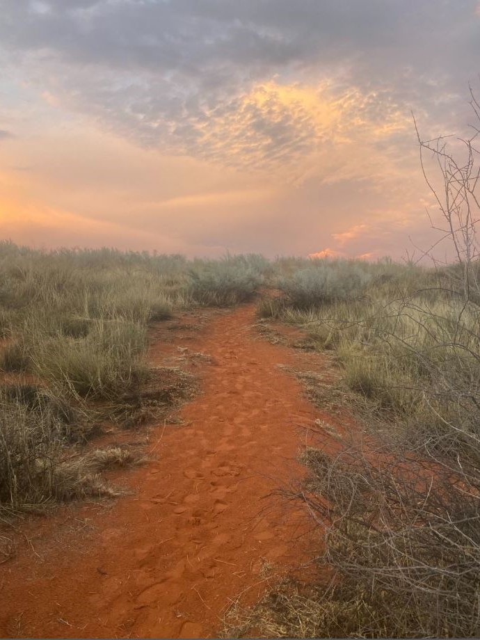 Twee Rivieren - Kgalagadi Transfrontier Park